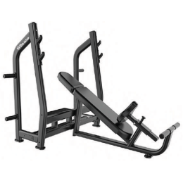 Incline Bench (Luxury) TGS-ZFA07