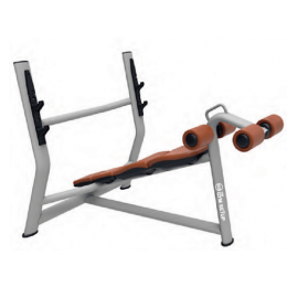 Olympic Decline Bench TGS-FRE13